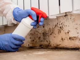 Why You Should Choose Our Mold Remediation Services in Cherry Valley, IL